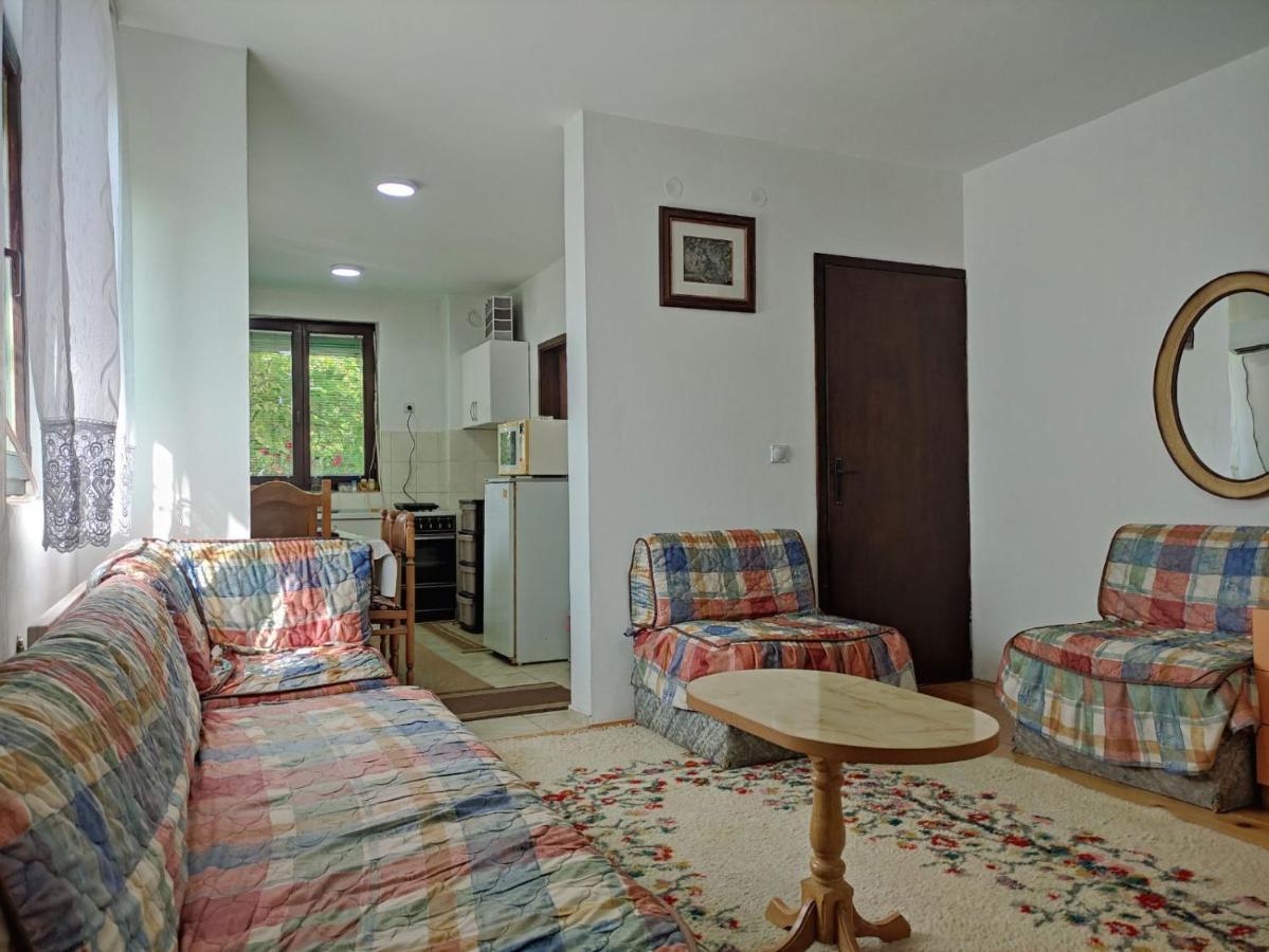 Cozy House Cvetkovic Villa Ni Екстериор снимка